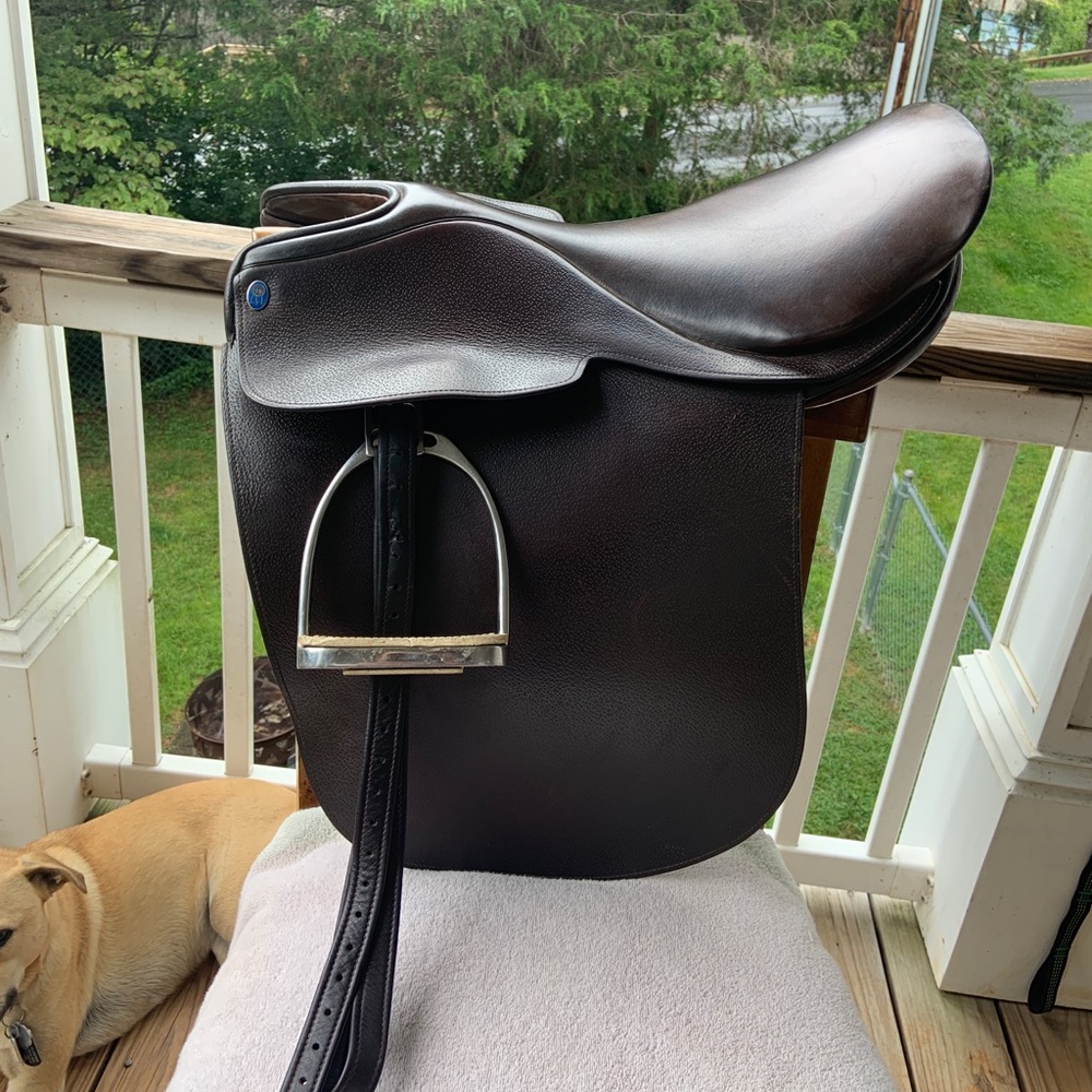 Blue Ribbon Cutback English Saddle “The Classic”